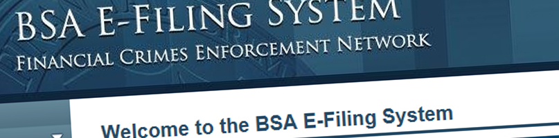 Snippet of BSA E Filing Website